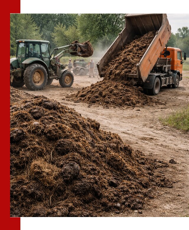 Доставка навоза самосвалами в Большой Камне для сельхозпотребностей
