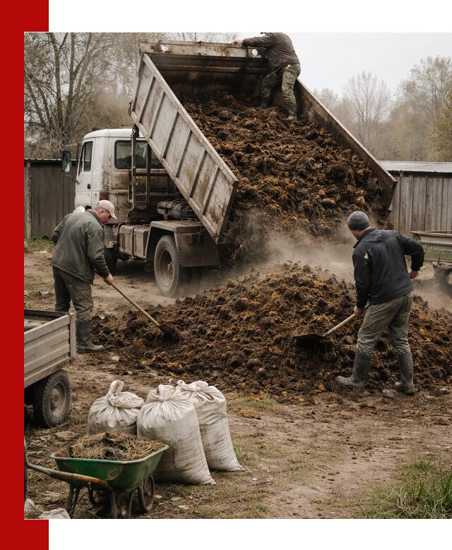 Доставка коровьего навоза самосвалом в Большой Камне